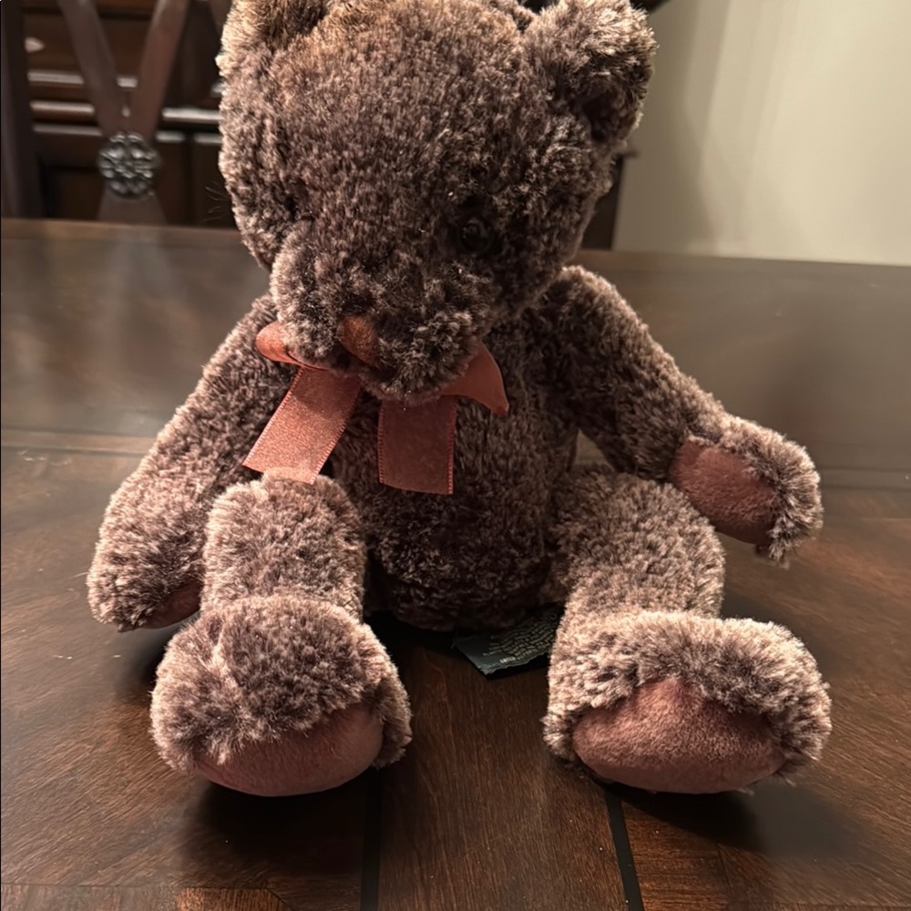 Brown Plush Teddy Bear with Bow